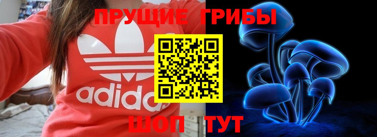 Спасск-Дальний  Псилоцибиновые грибы ЛСД  Вход с VPN 
